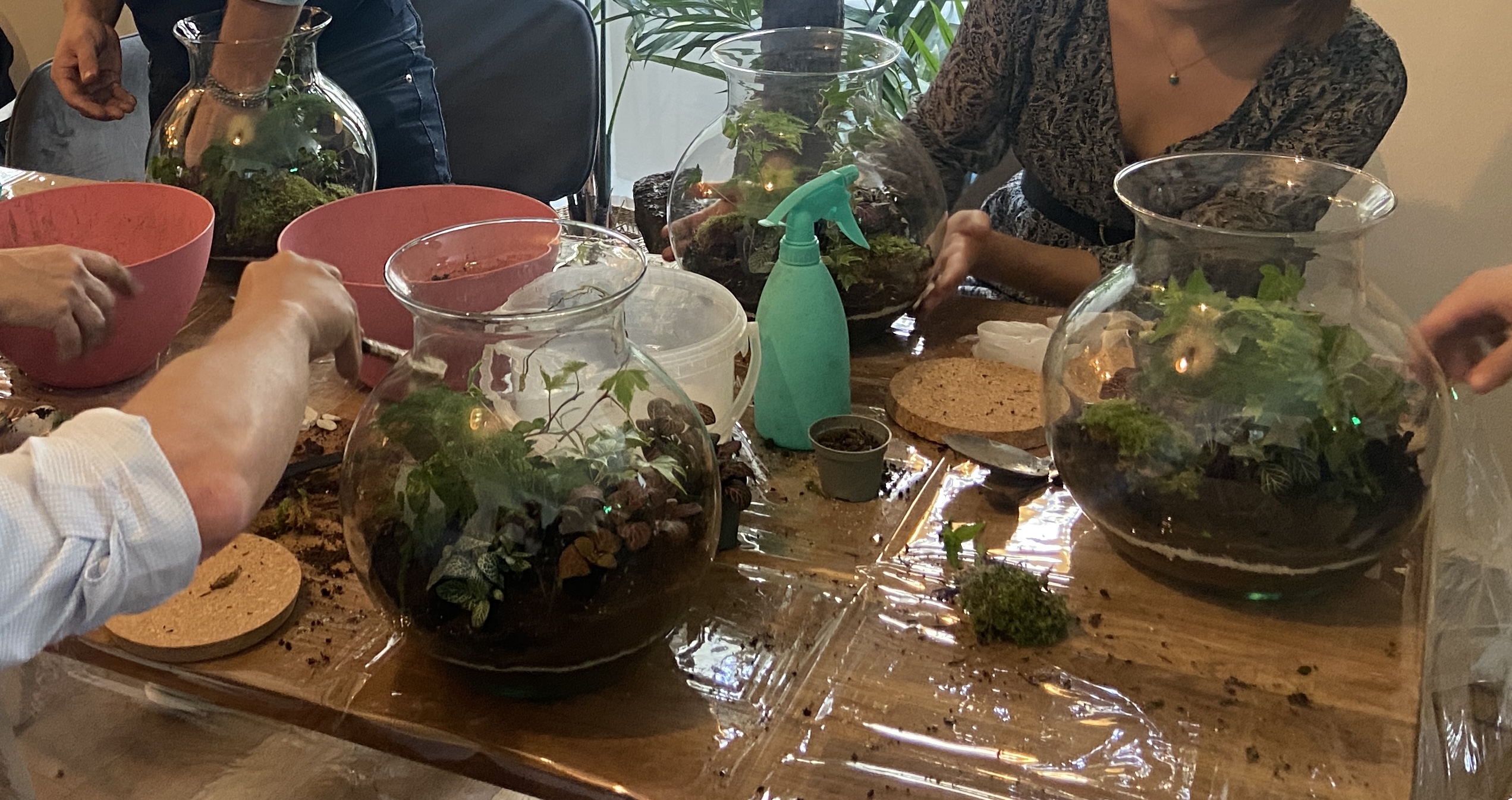 terrarium Pepite paris, atelier floral, atelier terrarium