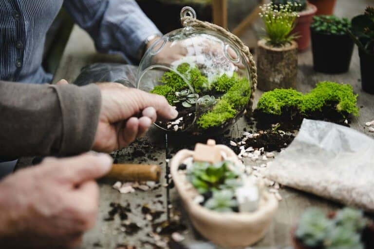 Atelier Terrarium