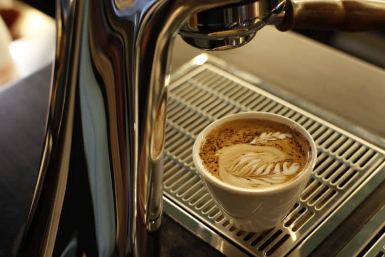 Dégustation de cafés pures origines