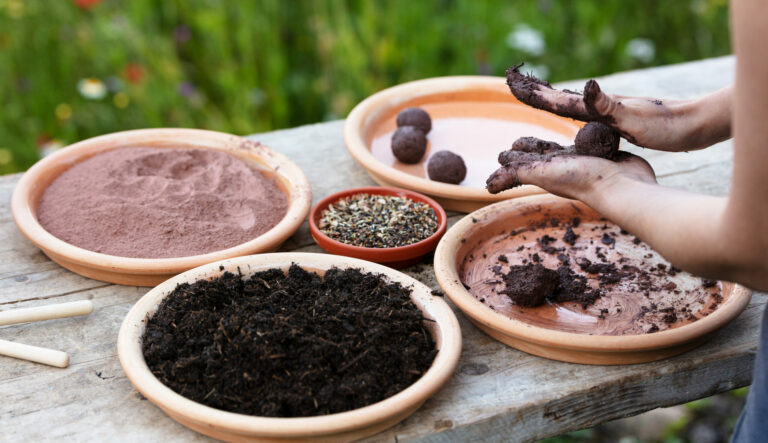 Atelier Seed bombing