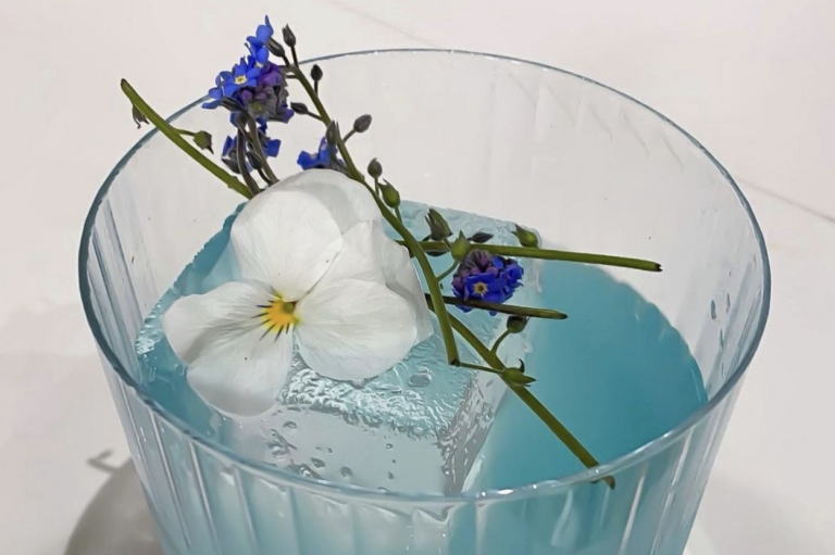 Atelier Smoothie et cocktail